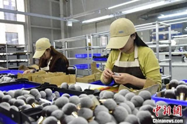 真有“两把刷子”！冰球突破平台沧州(图5)