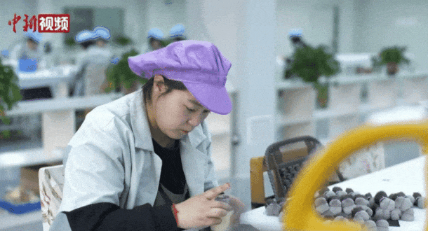 真有“两把刷子”！冰球突破平台沧州(图12)