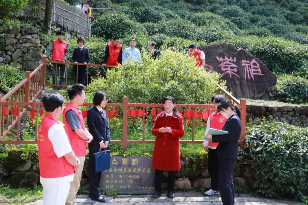 效履行法律监督职责“浙”里看见美丽中国冰球突破深入学习贯彻习法治思想 高质