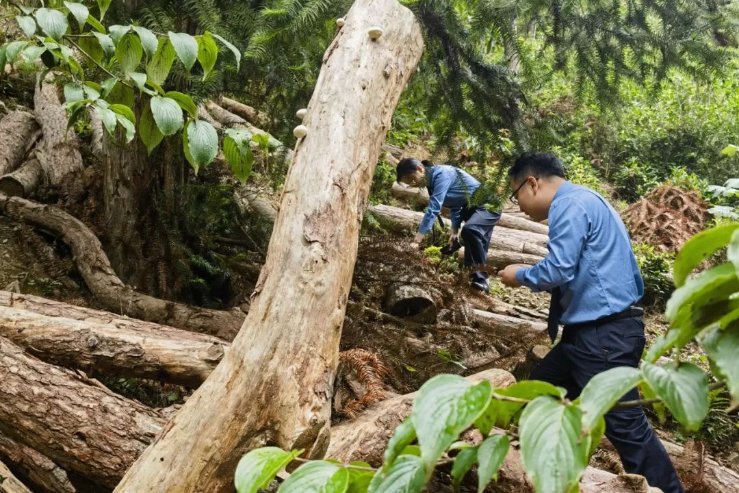 效履行法律监督职责“浙”里看见美丽中国冰球突破深入学习贯彻习法治思想 高质(图2)