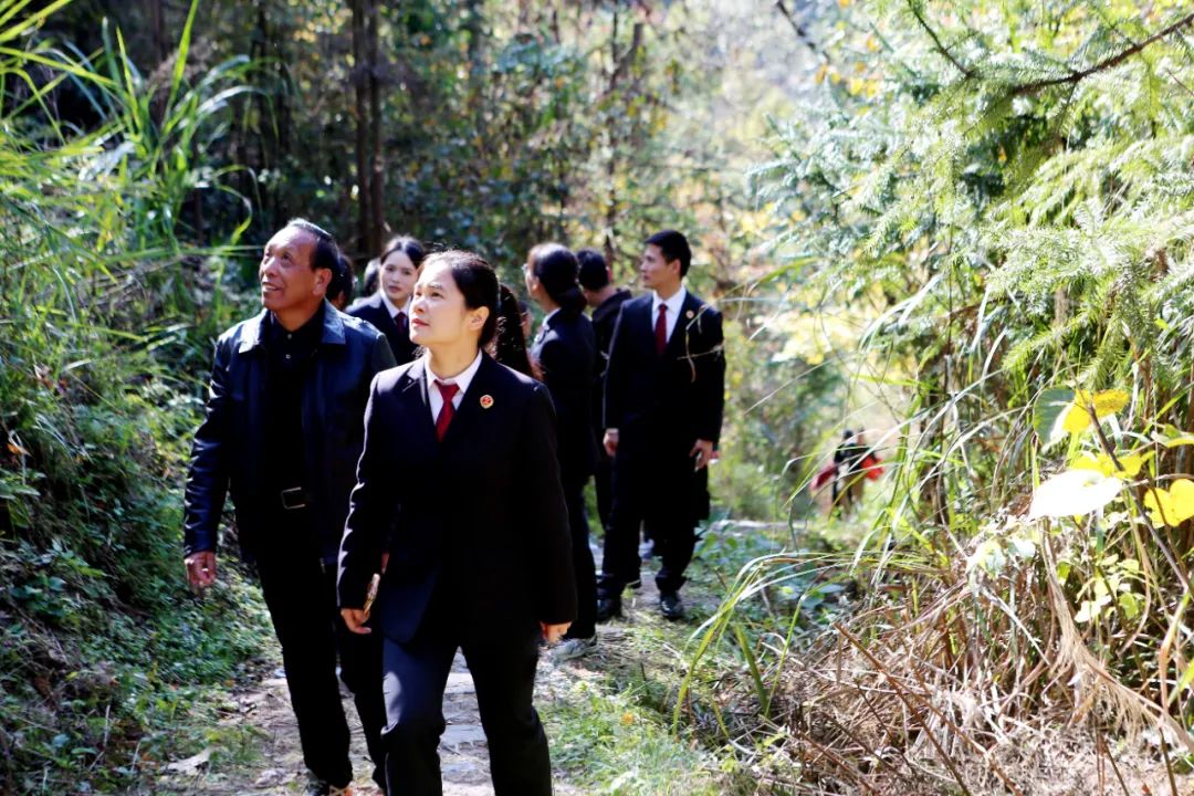 效履行法律监督职责“浙”里看见美丽中国冰球突破深入学习贯彻习法治思想 高质(图4)