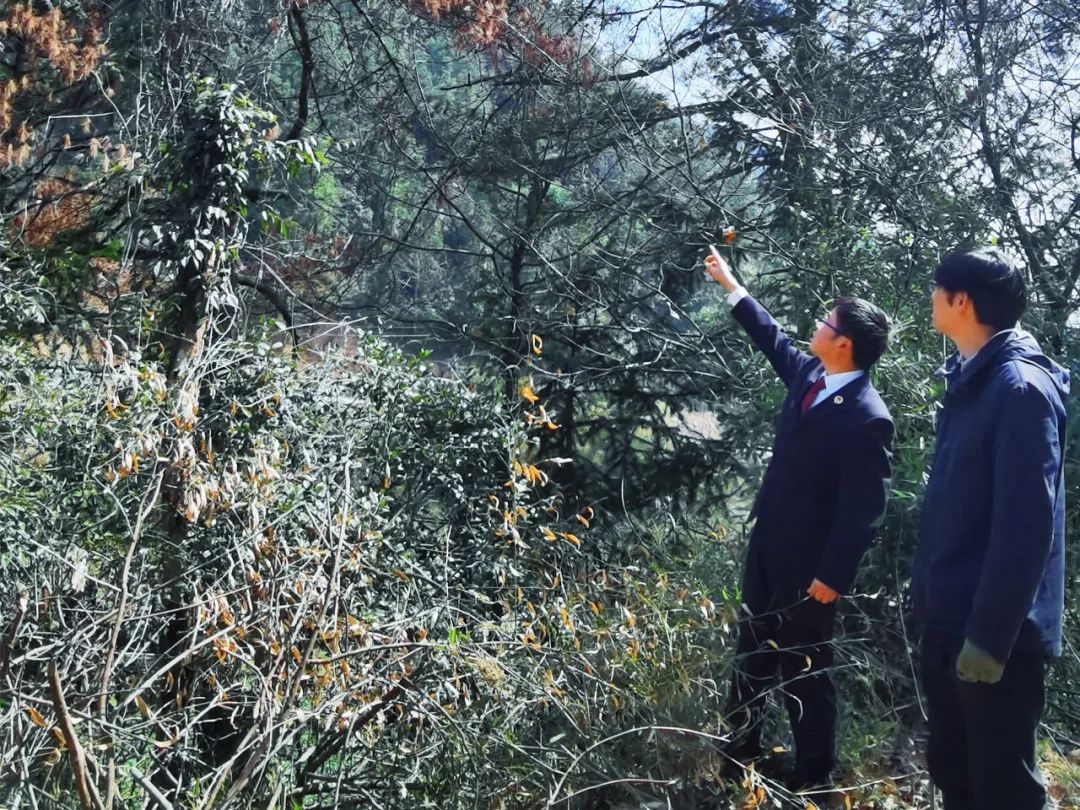 效履行法律监督职责“浙”里看见美丽中国冰球突破深入学习贯彻习法治思想 高质(图5)