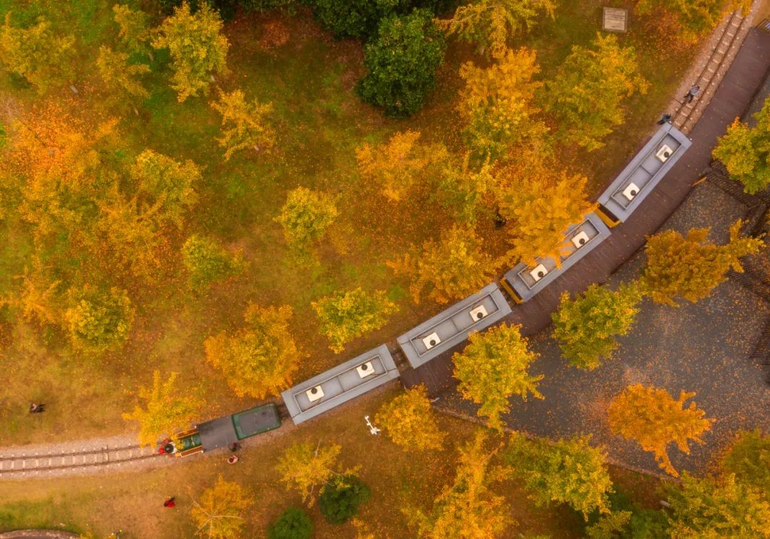 效履行法律监督职责“浙”里看见美丽中国冰球突破深入学习贯彻习法治思想 高质(图7)