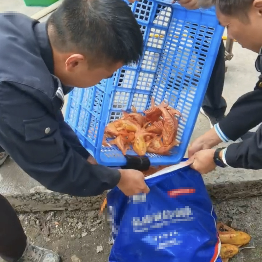 效履行法律监督职责“浙”里看见美丽中国冰球突破深入学习贯彻习法治思想 高质(图6)