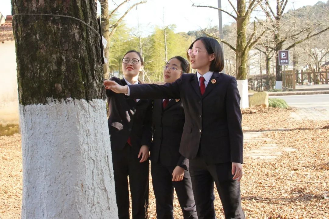 效履行法律监督职责“浙”里看见美丽中国冰球突破深入学习贯彻习法治思想 高质(图10)