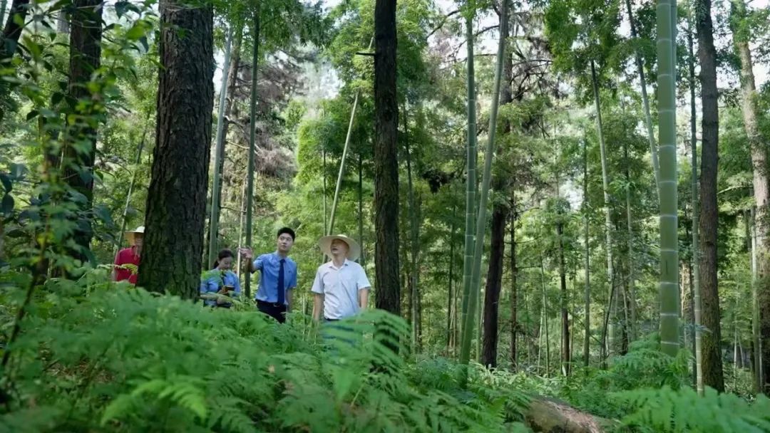 效履行法律监督职责“浙”里看见美丽中国冰球突破深入学习贯彻习法治思想 高质(图12)